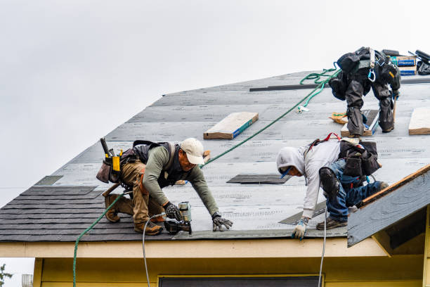 Professional Roofing technician working in Illinois City, IL